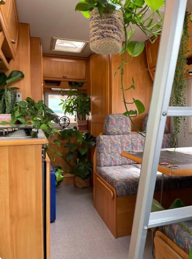 Tibetan Buddhist Jungle Camper Blanes Apartment