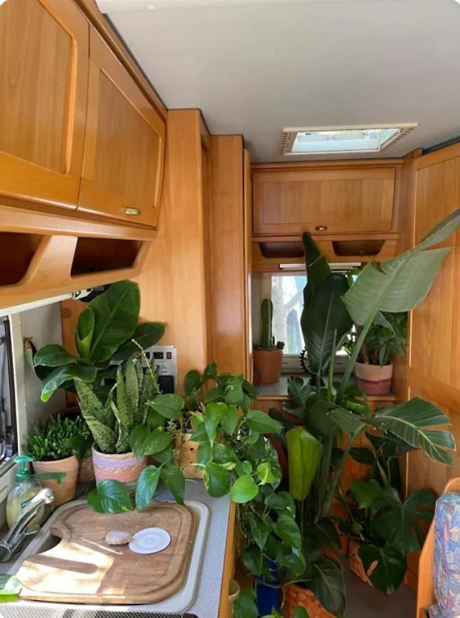 Tibetan Buddhist Jungle Camper Blanes Spain