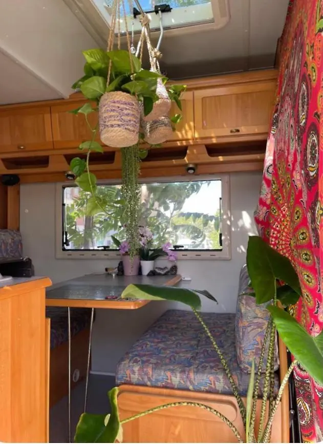 Apartment Tibetan Buddhist Jungle Camper Blanes