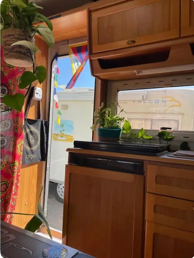 Apartment Tibetan Buddhist Jungle Camper Blanes